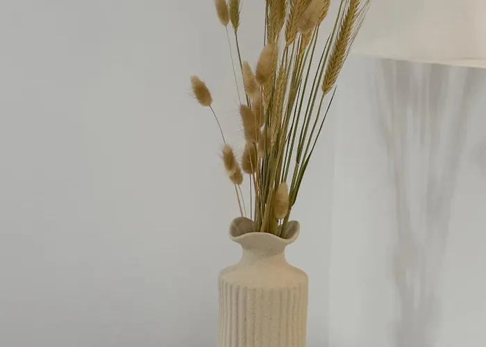 Calm Joy & J - Alley アパート エルムポリ