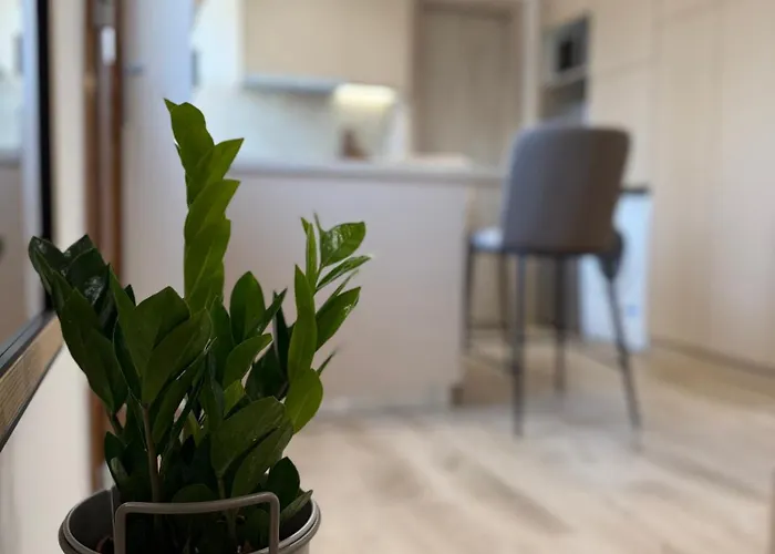 Calm Joy & J - Alley エルムポリ